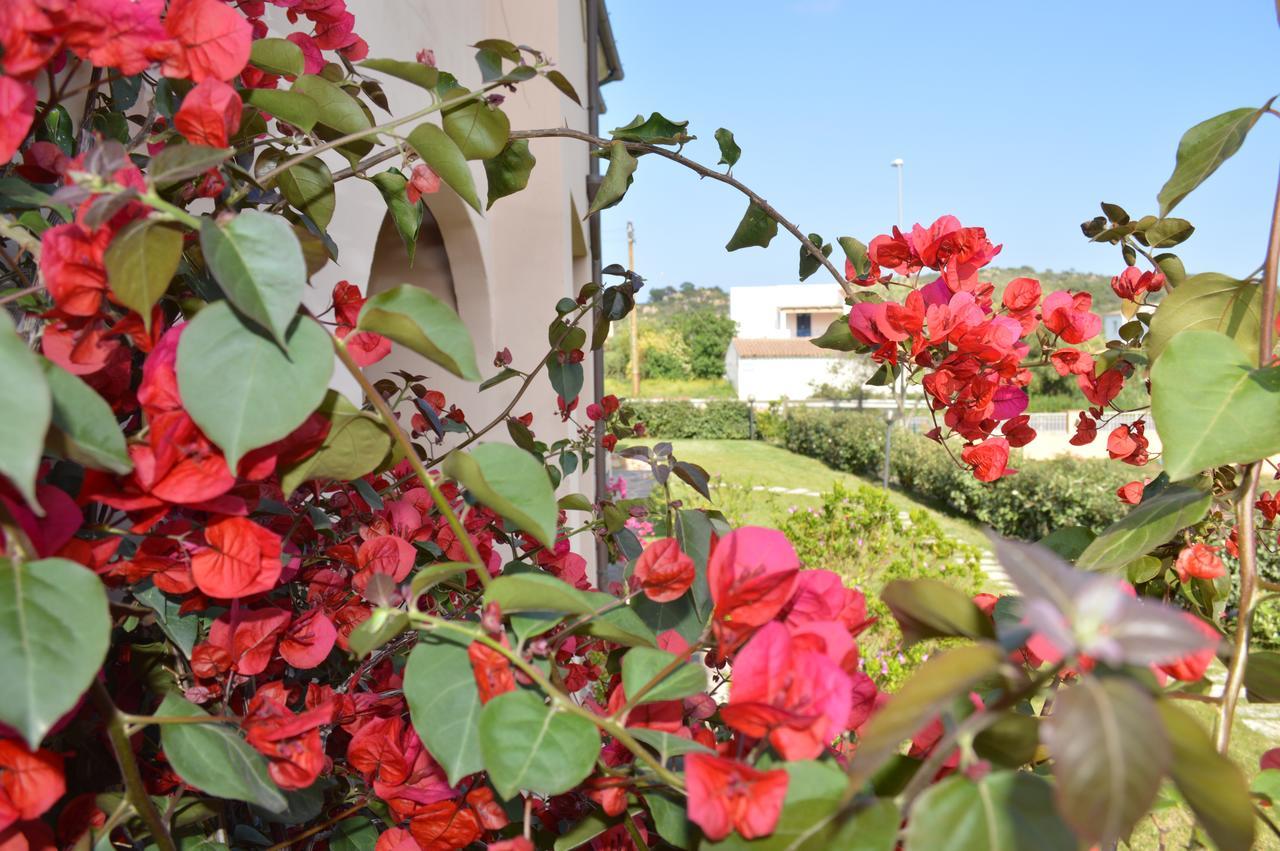 סאן תאודורו Guest Rooms Affittacamere מראה חיצוני תמונה