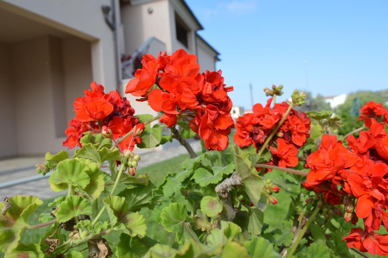 סאן תאודורו Guest Rooms Affittacamere מראה חיצוני תמונה